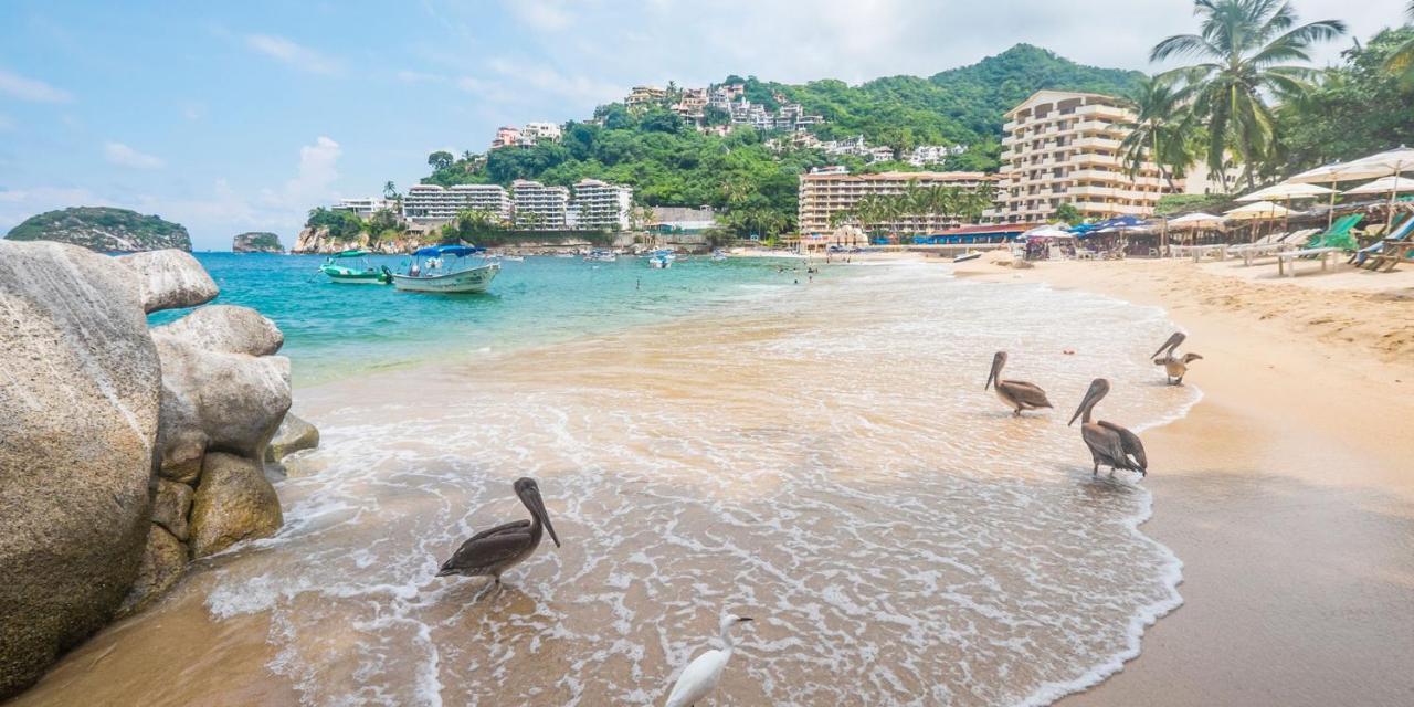 Departamento A 5 Minutos De Playa Mismaloya, Puerto Vallarta Dış mekan fotoğraf